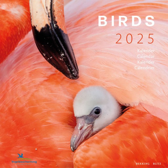 Birds, Vogelbescherming - Jaarkalender 2025 - Catch Utrecht