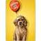 Hond met ballon - Happy birthday - Catch Utrecht